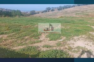 Terreno di 10000 m² a Alcamo