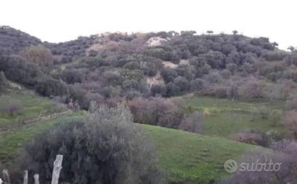 Immobile in asta di 40310 m² a Calascibetta - Vista 2