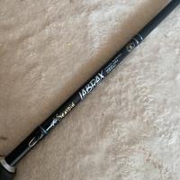 Seaspin labrax 10imo anniversario