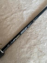 Seaspin labrax 10imo anniversario