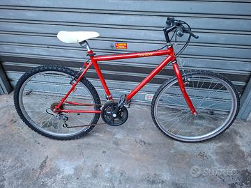 Mountain bike