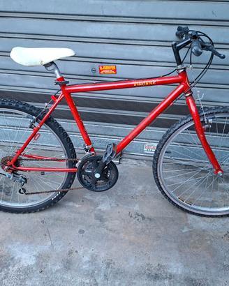 Mountain bike