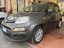 fiat-panda-1-2-easypower-easy-gpl-69cv-my19