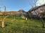 Immagine 7