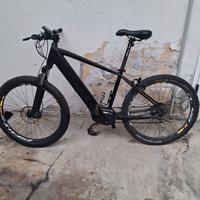 bicicletta elettrica 