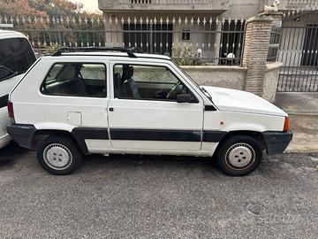 Panda 1° serie 1100 i.e. cat. Young