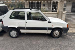 Panda 1° serie 1100 i.e. cat. Young