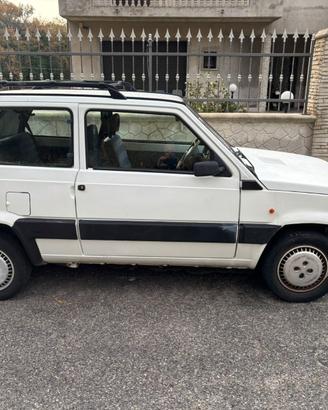 Panda 1° serie 1100 i.e. cat. Young