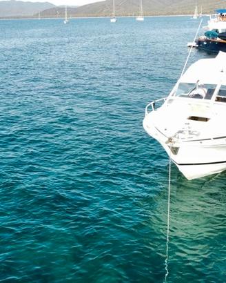 Bertram 28 Moppie anno 1994