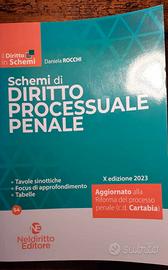 Schemi di diritto processuale penale - 2023