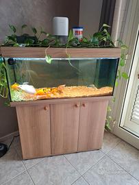 Acquario Juwel Rio 180 LED Completo