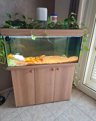 Acquario Juwel Rio 180 LED Completo
