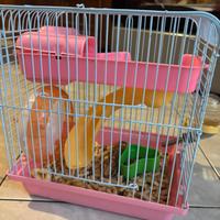 Cucciolo di criceto nano