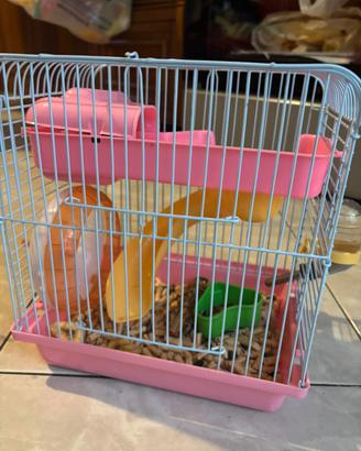 Cucciolo di criceto nano
