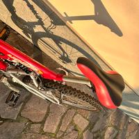 bicicletta a Romano di Lombardia