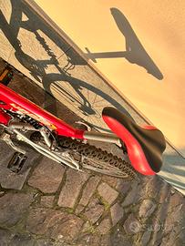 bicicletta a Romano di Lombardia