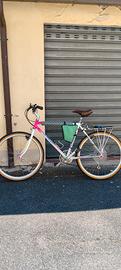 bicicletta MTB 26" Moser vintage Shimano jodler  