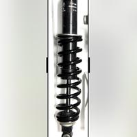 Bmw r 1200/1250 gs ammortizzatore