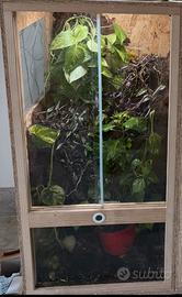 Terrario 60x60x120