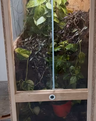 Terrario 60x60x120