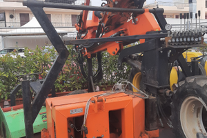 Scuotitore Verdegiglio anno 2017,