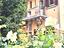 Immagine 7