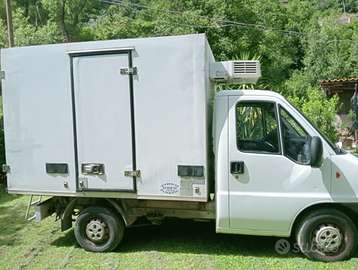 Fiat ducato con frigo