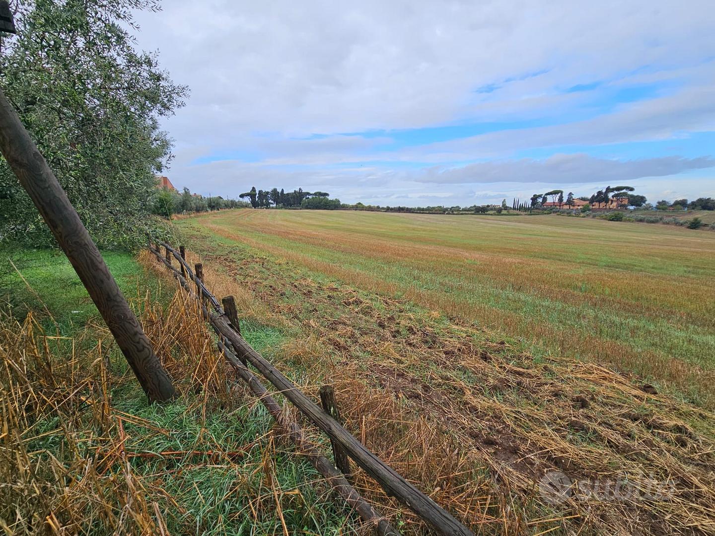 LOTTI DI TERRENO AGRICOLO - Vista 2