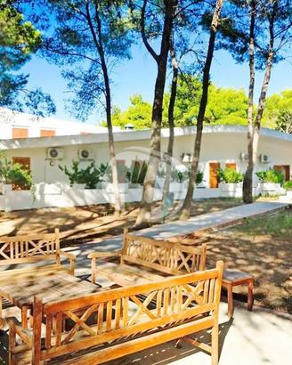 Appartamento Isole Tremiti [093VRG]