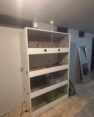 Teca per rettili