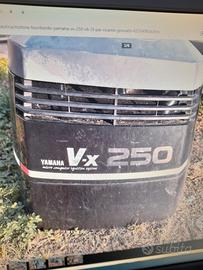 FUORIBORDO YAMAHA 250VX