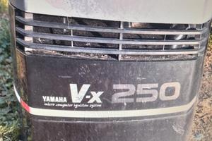 FUORIBORDO YAMAHA 250VX