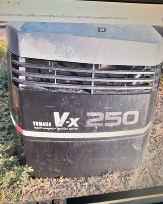 FUORIBORDO YAMAHA 250VX
