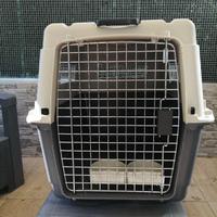 Trasportino omologato per aereo