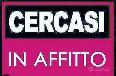 Appartamento a prato 700/750 euro mese