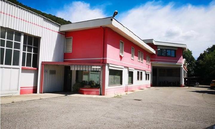 Capannone industriale e macchinari prevalle