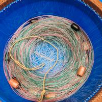 Palamito da 100AMI per saraghi 