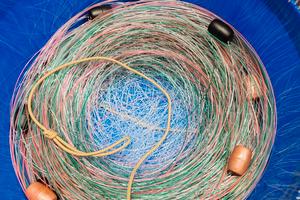 Palamito da 100AMI per saraghi 