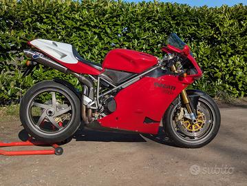Parafango paracatena in carbonio Ducati