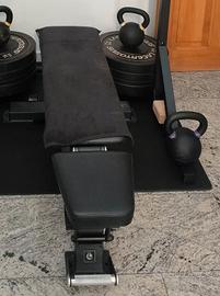 panca pro lacertosus 