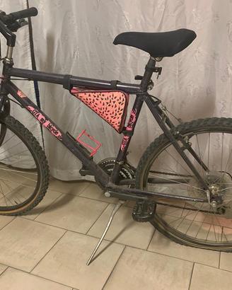 Bicicletta