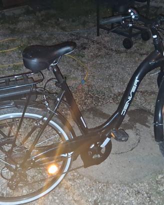 Bici elettrica 