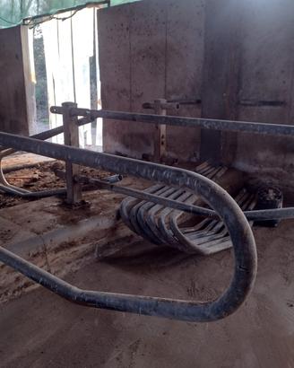 Cuccette prefabbricate per bovini
