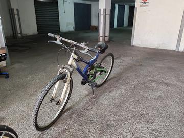Bici Frejus FM 626