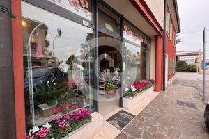Negozio a Camposampiero (PD)