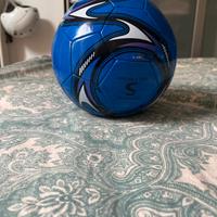 Pallone da calcio