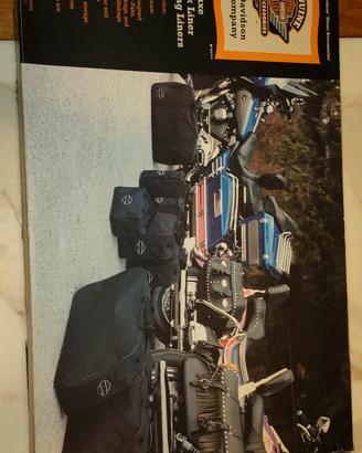 Set borse interne originali Harley Davidson 