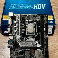 ASRock B250M-HDV