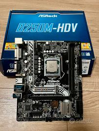 ASRock B250M-HDV