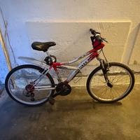 Mountain bike 24